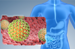 诺如成春季腹泻“头号元凶”！华森制药痛泻宁颗粒守护肠道健康